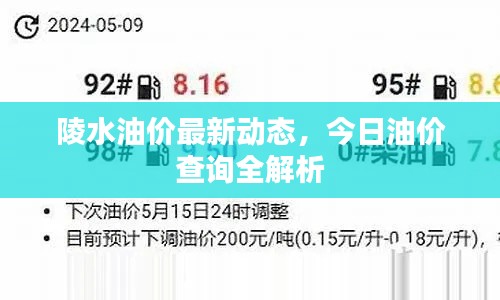 陵水油价最新动态，今日油价查询全解析