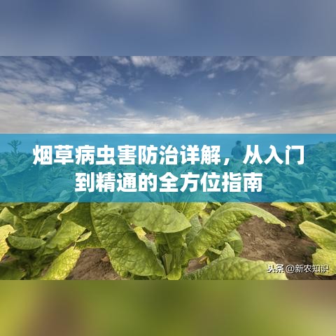 江南烟雨断桥殇