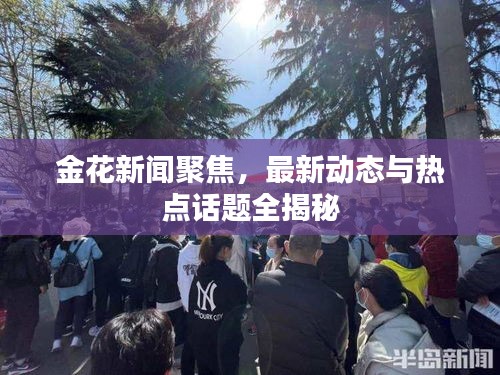 金花新闻聚焦，最新动态与热点话题全揭秘