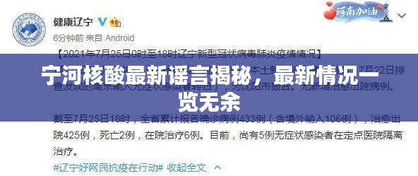 宁河核酸最新谣言揭秘，最新情况一览无余
