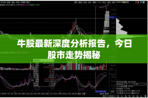 牛股最新深度分析报告，今日股市走势揭秘