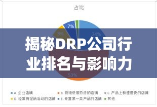 揭秘DRP公司行业排名与影响力，权威解读公司实力与前景展望