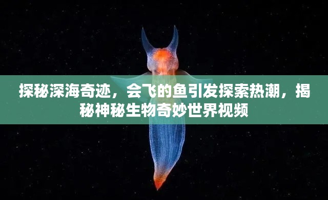 探秘深海奇迹，会飞的鱼引发探索热潮，揭秘神秘生物奇妙世界视频