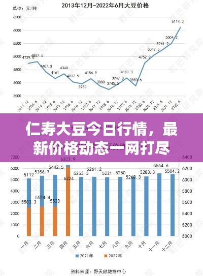 仁寿大豆今日行情，最新价格动态一网打尽