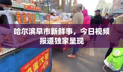哈尔滨早市新鲜事，今日视频报道独家呈现