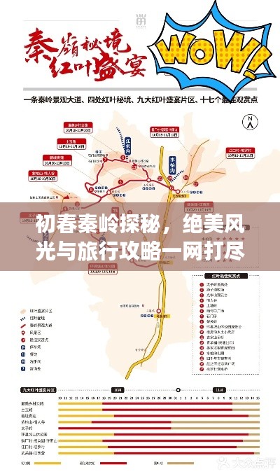 初春秦岭探秘，绝美风光与旅行攻略一网打尽！