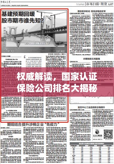 权威解读，国家认证保险公司排名大揭秘，影响力深度剖析！