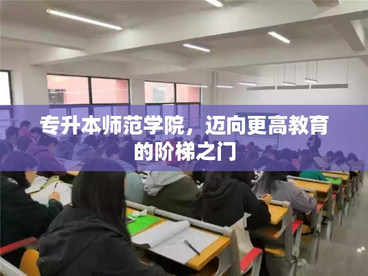 2025年4月 第19页