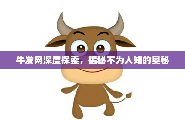 牛发网深度探索，揭秘不为人知的奥秘