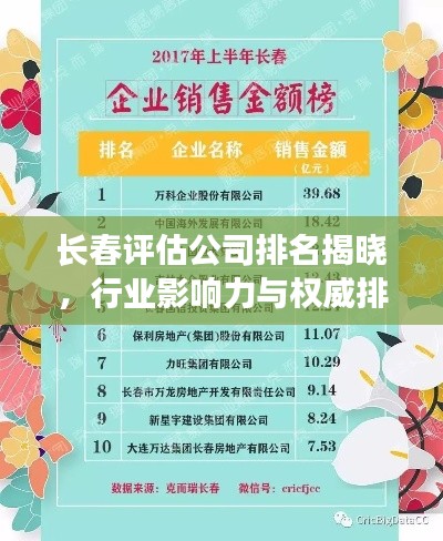 长春评估公司排名揭晓，行业影响力与权威排名一览