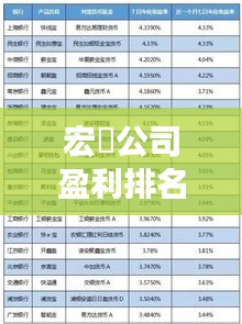 宏碁公司盈利排名揭秘，业界财务状况与表现深度探究