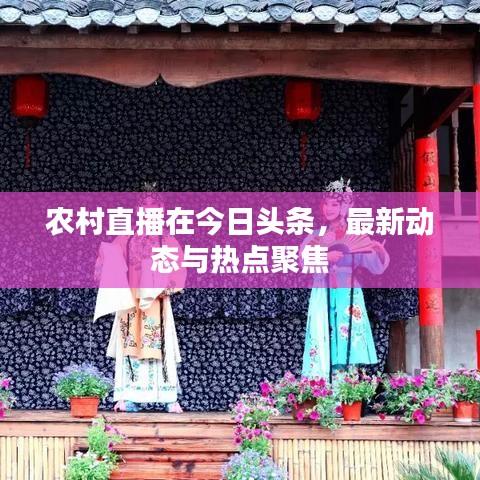 农村直播在今日头条，最新动态与热点聚焦