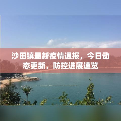 沙田镇最新疫情通报，今日动态更新，防控进展速览