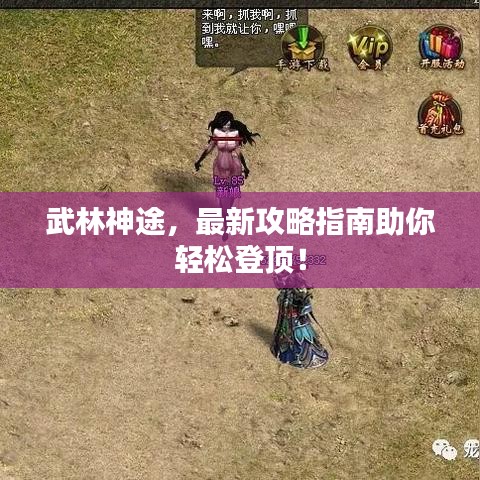 武林神途，最新攻略指南助你轻松登顶！