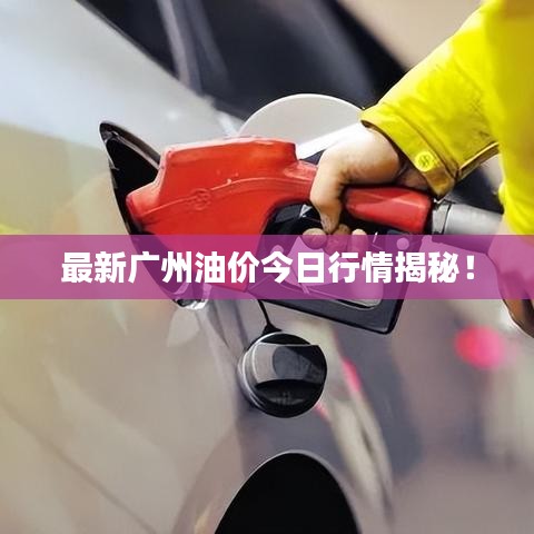 最新广州油价今日行情揭秘！