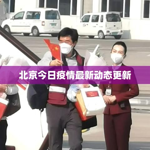 资料下载 第6页