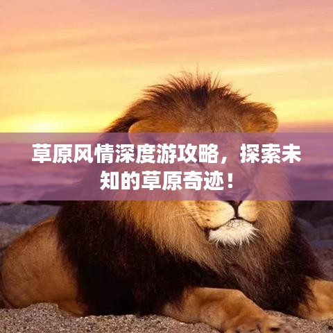 草原风情深度游攻略，探索未知的草原奇迹！
