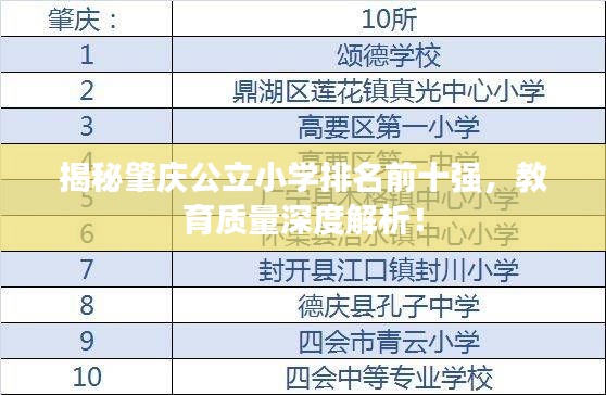 揭秘肇庆公立小学排名前十强，教育质量深度解析！