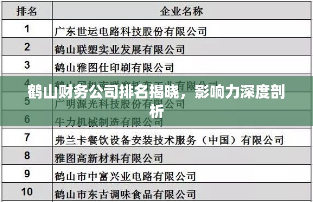 鹤山财务公司排名揭晓，影响力深度剖析