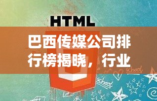 巴西传媒公司排行榜揭晓，行业巨头引领潮流
