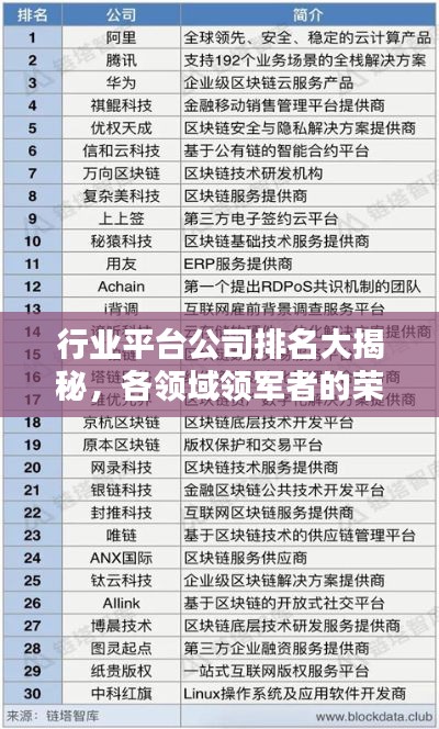 行业平台公司排名大揭秘，各领域领军者的荣耀榜单