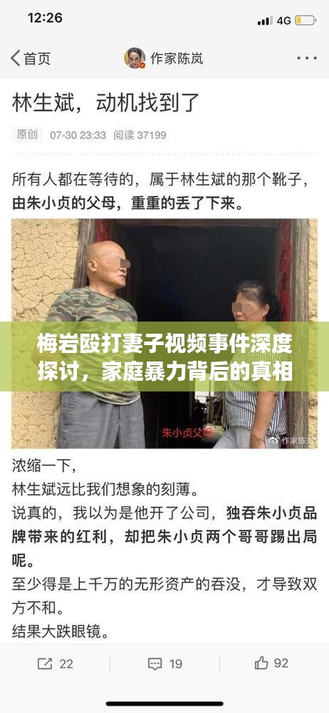 梅岩殴打妻子视频事件深度探讨，家庭暴力背后的真相与反思