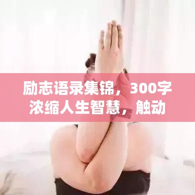 励志语录集锦，300字浓缩人生智慧，触动心灵的力量！