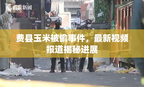 费县玉米被偷事件，最新视频报道揭秘进展