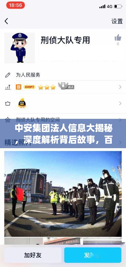 中安集团法人信息大揭秘，深度解析背后故事，百度为您一网打尽！