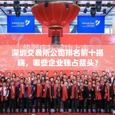 深圳交易所公司排名前十揭晓，哪些企业独占鳌头？