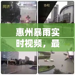 惠州暴雨实时视频，最新报道与暴雨实况放送