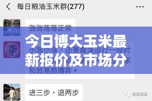 今日博大玉米最新报价及市场分析，洞悉市场动态，掌握玉米行情！