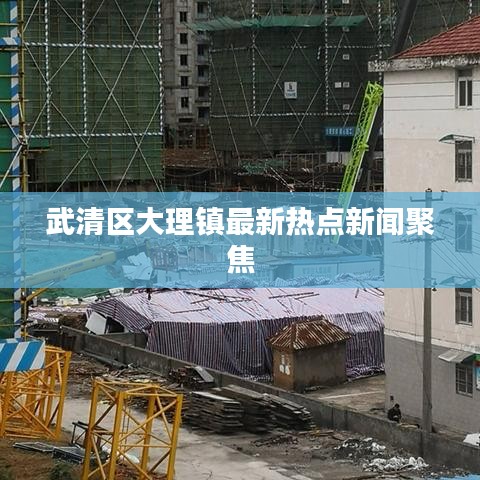 武清区大理镇最新热点新闻聚焦