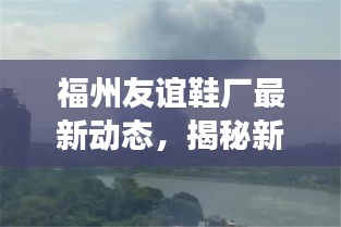 福州友谊鞋厂最新动态，揭秘新闻事件内幕
