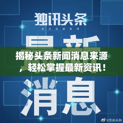 手不释卷