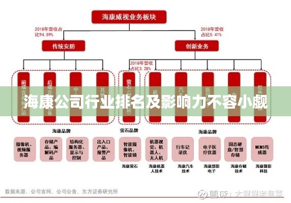 海康公司行业排名及影响力不容小觑