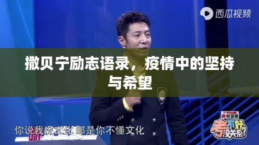 撒贝宁励志语录，疫情中的坚持与希望