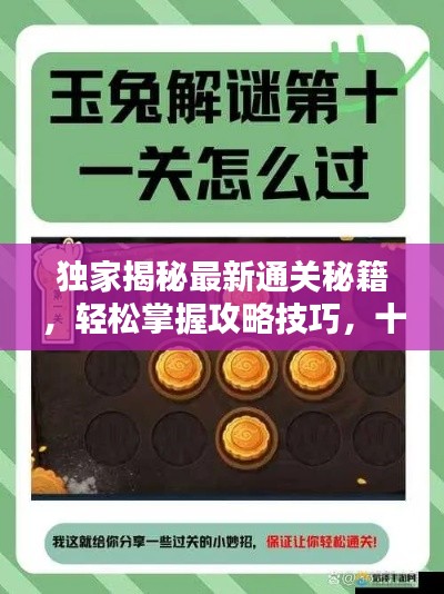 独家揭秘最新通关秘籍，轻松掌握攻略技巧，十月通关无忧！
