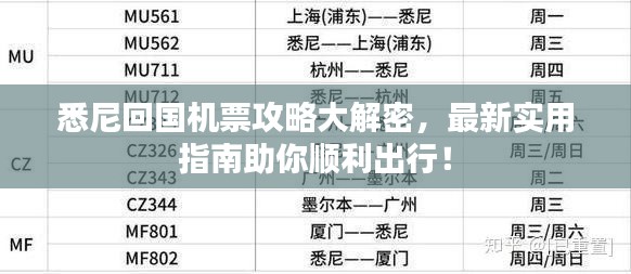 悉尼回国机票攻略大解密，最新实用指南助你顺利出行！