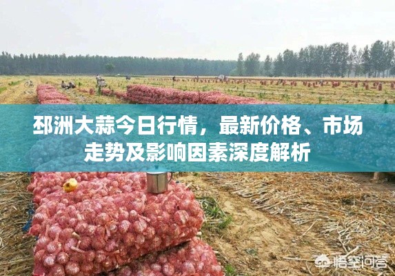 邳洲大蒜今日行情，最新价格、市场走势及影响因素深度解析