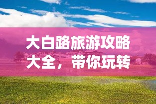 大白路旅游攻略大全，带你玩转美丽风光！