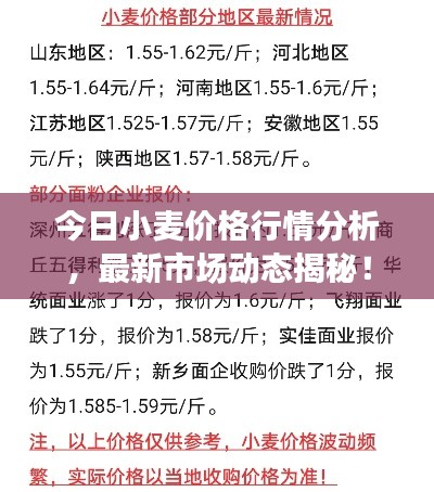 今日小麦价格行情分析，最新市场动态揭秘！