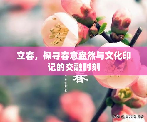 呕心沥血