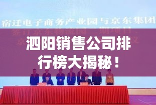 泗阳销售公司排行榜大揭秘！