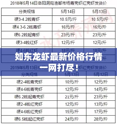 如东龙虾最新价格行情一网打尽！