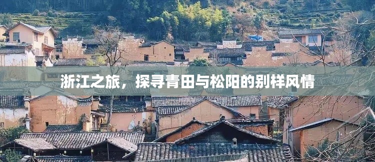 浙江之旅，探寻青田与松阳的别样风情