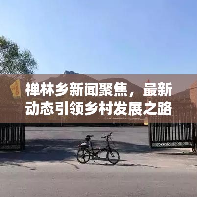 禅林乡新闻聚焦，最新动态引领乡村发展之路