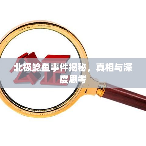 北极鲶鱼事件揭秘，真相与深度思考