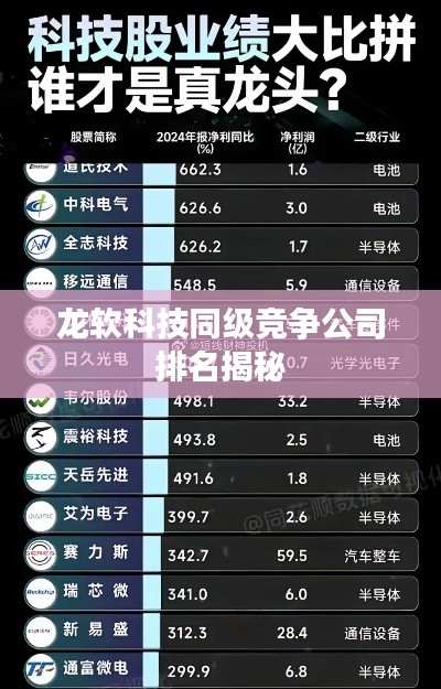龙软科技同级竞争公司排名揭秘