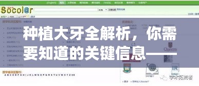 种植大牙全解析，你需要知道的关键信息——百度收录指南